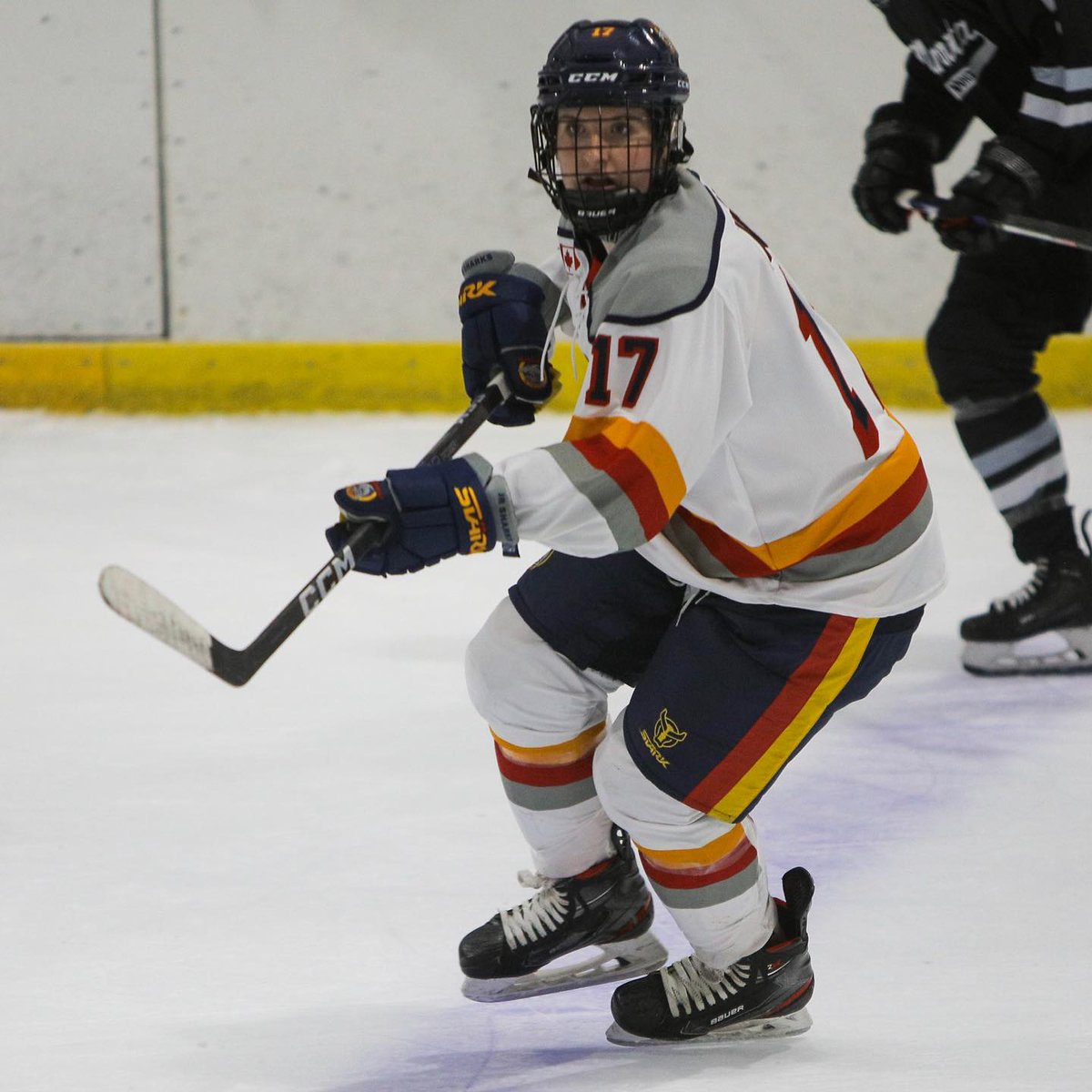 Barrie Jr. Sharks tweet media