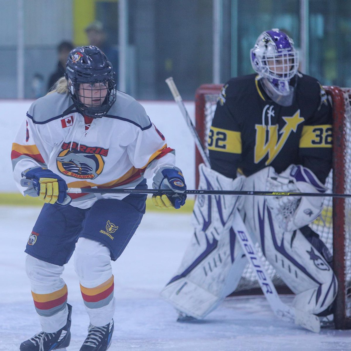 Barrie Jr. Sharks tweet media