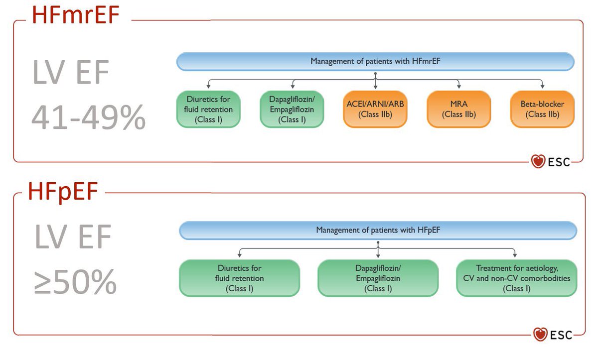 Most recently, ESC Guidelines have listed SGLT2 inhibitors as class I indication for HFpEF 👇
