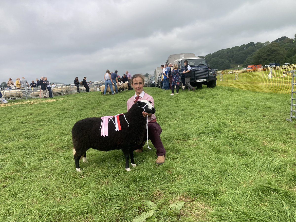 Adam Lynch tweet media