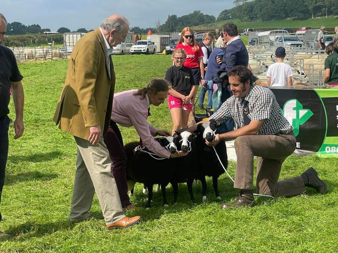 Adam Lynch tweet media