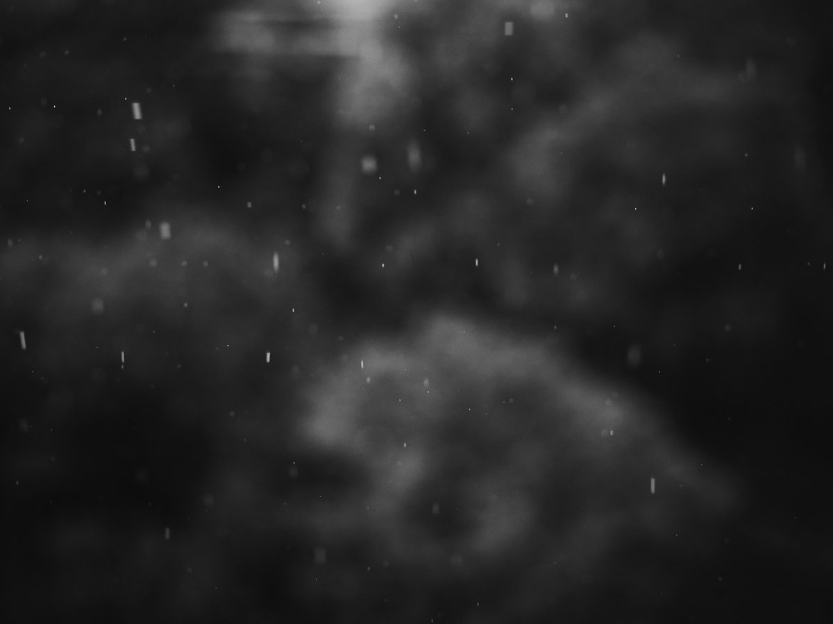 goo922's tweet photo. rain
#キハルフォト
#photography
#blackandwhite
#leicar 
#雨 https://t.co/L4jCHNbWOh