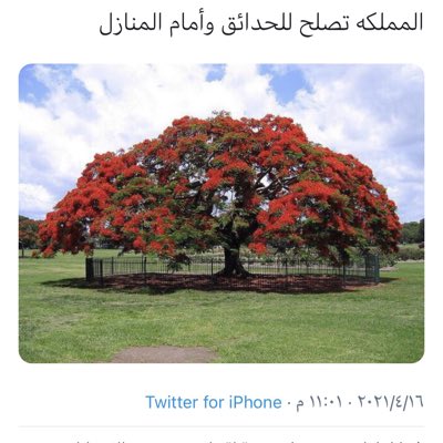 cvfd7678's tweet photo. #صورة_جديدة_للملف_الشخصي https://t.co/hIQZsm83Jm