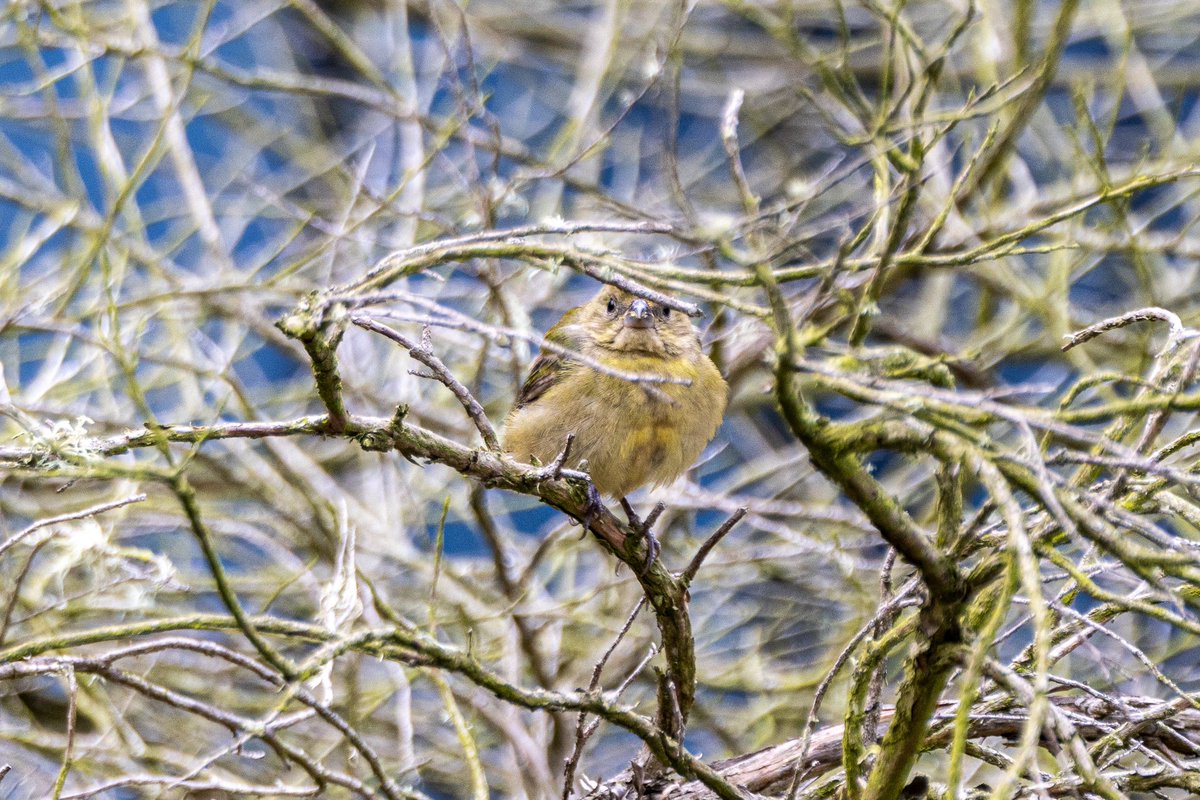 Anna Klafter tweet media