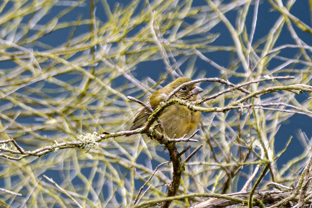 Anna Klafter tweet media