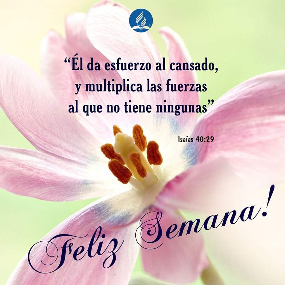 adventistas_aas's tweet image. Feliz semana! Dios te bendiga. #unaiglesiaviva #yovoy #missionrefocus