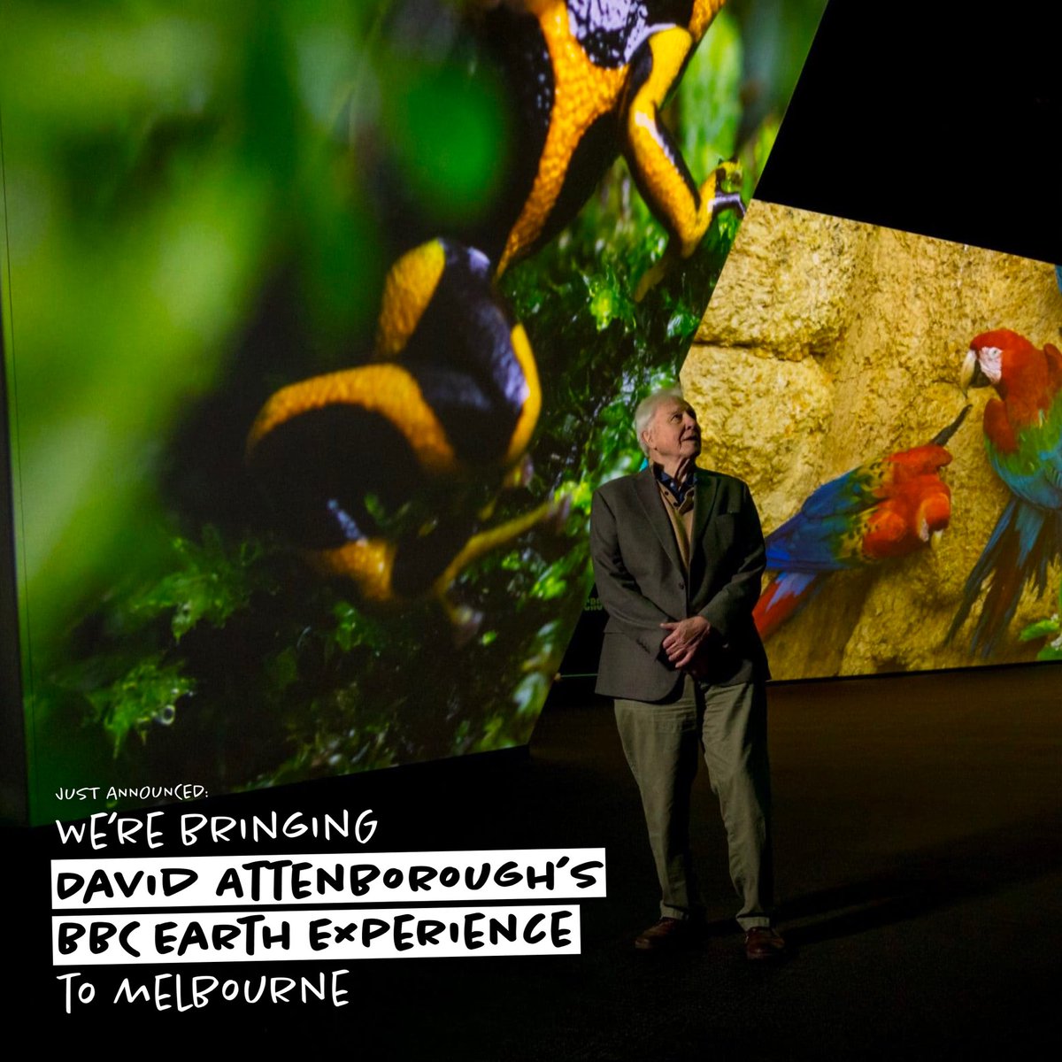 DanielAndrewsMP's tweet photo. Imagine this: a tour of the seven continents. 

Getting up close with the most remarkable animals. 

And your guide is none other than David Attenborough. 

It's the BBC Earth Experience - and Melbourne will be just the second city in the world to see it. https://t.co/kgbFiGCaTp