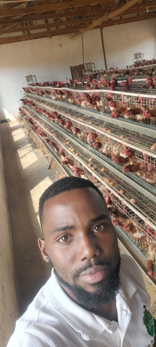 Livestock Production Guru tweet media