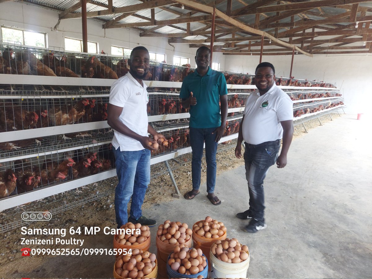 Livestock Production Guru tweet media