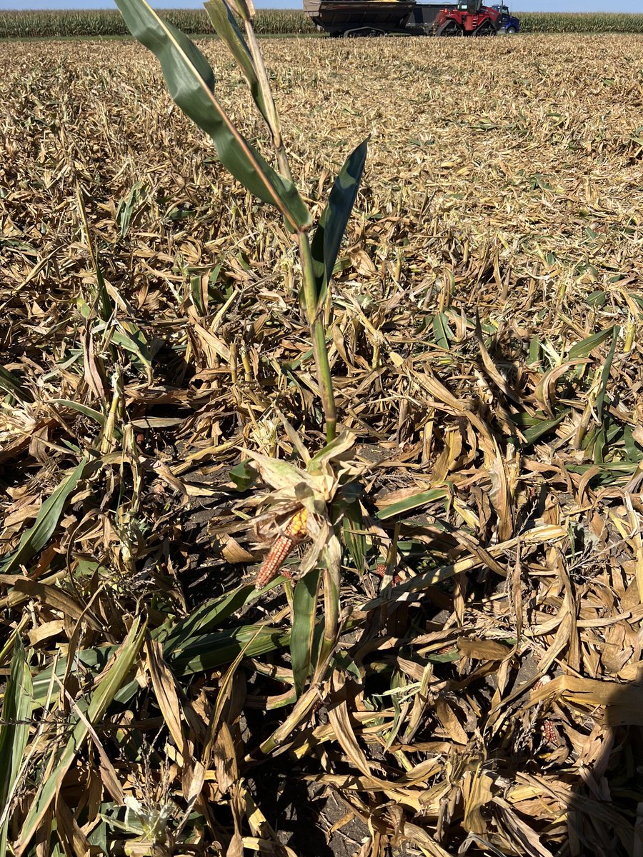 Brent Johnson tweet media