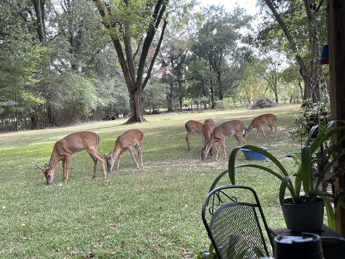 The gangs all here https://t.co/Bef2jjexGC