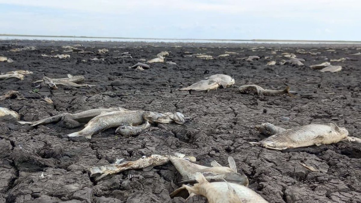 AMBLUISM's tweet photo. Escuchar decir a #JavierMiley de que una empresa puede contaminar un río todo lo que quiera y aseguró que si se privatizan los ríos se termina la contaminación? esto es atentar contra la naturaleza y sobre todo atentar contra nuestra constitución. https://t.co/Z4il6Ntmll