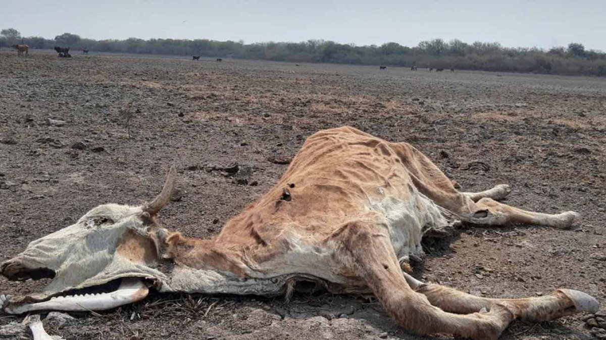 AMBLUISM's tweet photo. Escuchar decir a #JavierMiley de que una empresa puede contaminar un río todo lo que quiera y aseguró que si se privatizan los ríos se termina la contaminación? esto es atentar contra la naturaleza y sobre todo atentar contra nuestra constitución. https://t.co/Z4il6Ntmll