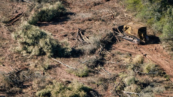 AMBLUISM's tweet photo. Escuchar decir a #JavierMiley de que una empresa puede contaminar un río todo lo que quiera y aseguró que si se privatizan los ríos se termina la contaminación? esto es atentar contra la naturaleza y sobre todo atentar contra nuestra constitución. https://t.co/Z4il6Ntmll