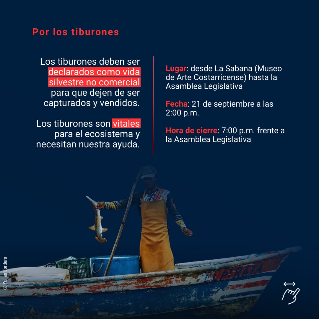 We´ll wait for you.