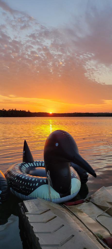 OnlyLoons_'s tweet photo. We love a sexy sunset https://t.co/sXorw3xPVt