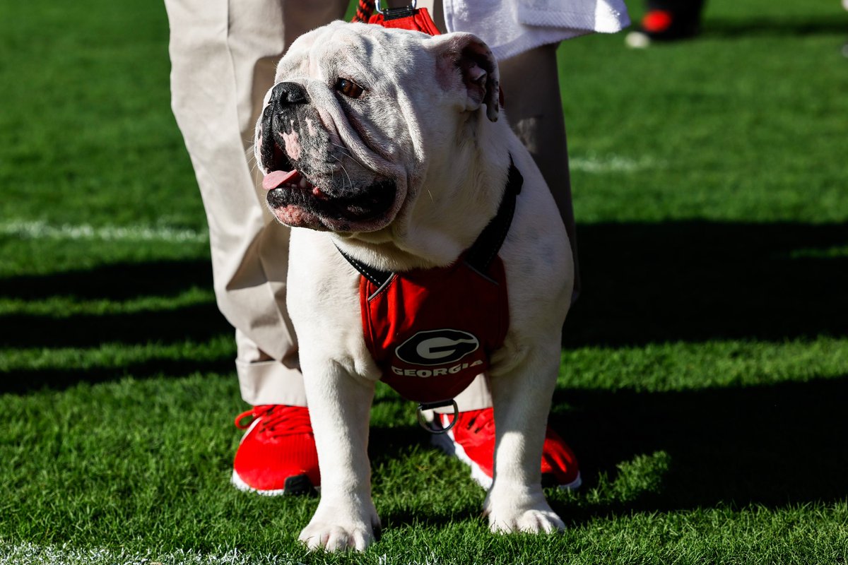 universityofga's tweet photo. hello from college football’s very best boy

#GoDawgs https://t.co/9fCaBM0wSy