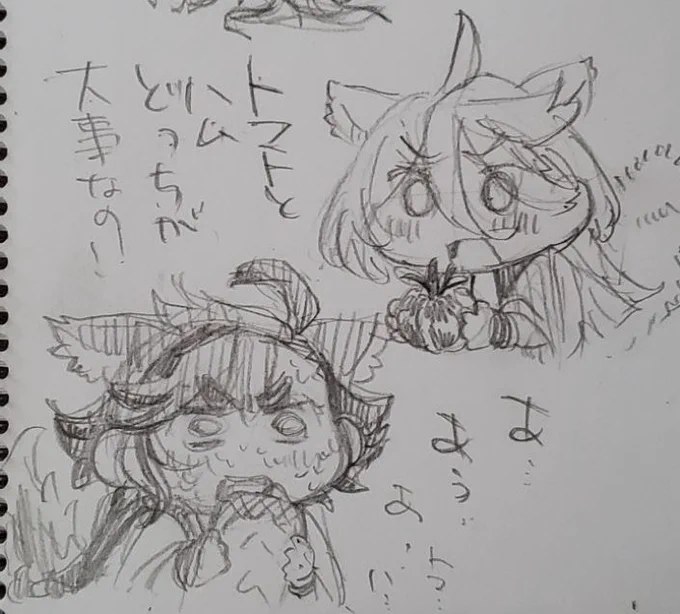 わんのせんたく 