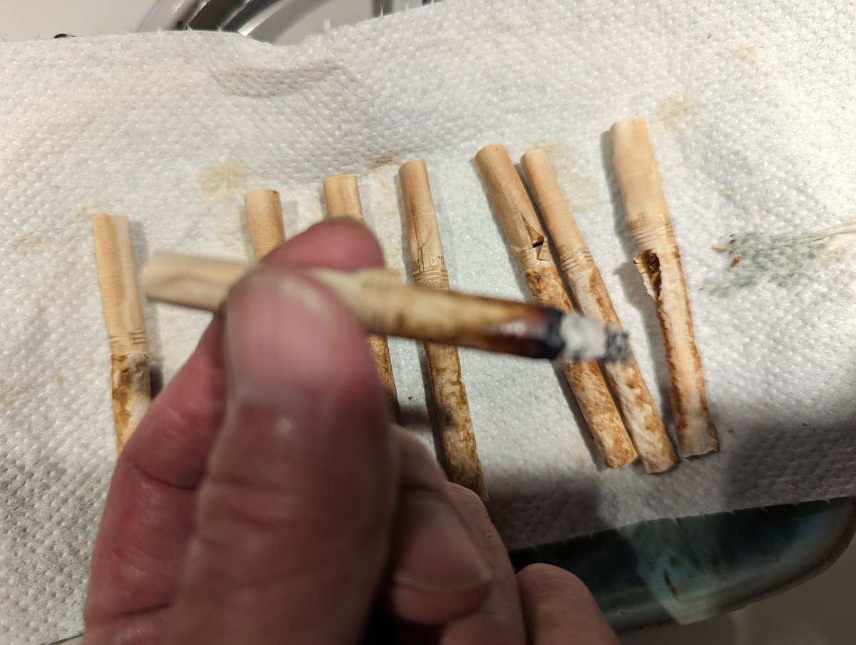 why cigarettes should not be banned The Urgent Need for Banning Cigarettes: A Comprehensive Examination Free  Essay Example