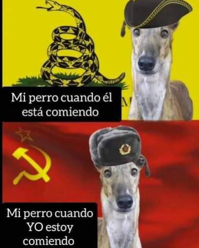 El Nakunauta (@nawelo_) on Twitter photo 