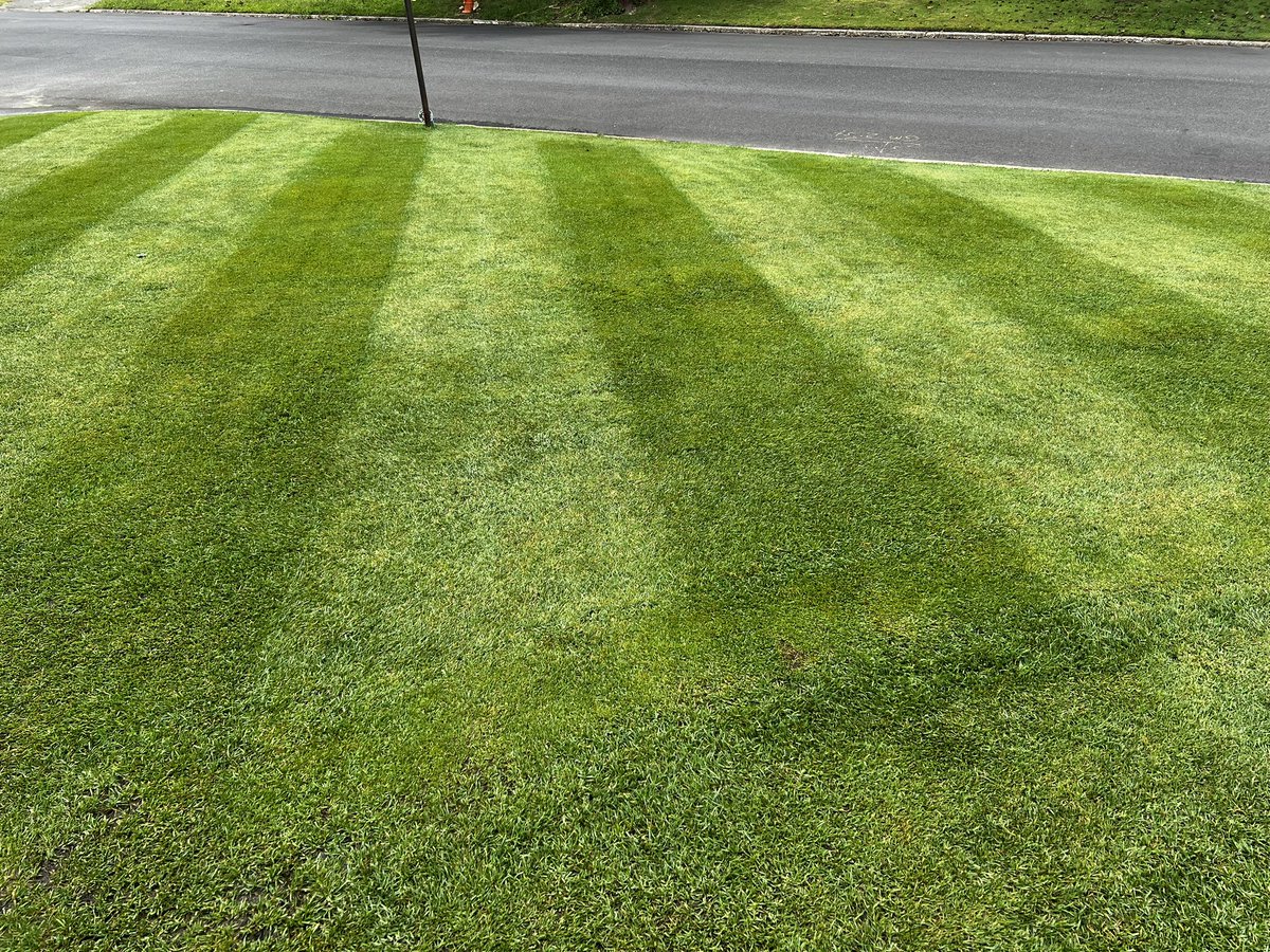 DJRAZORNYC's tweet photo. BBQ @ my house
Just KEEP OFF the lawn
#themetspregame https://t.co/jE35K9WBw4