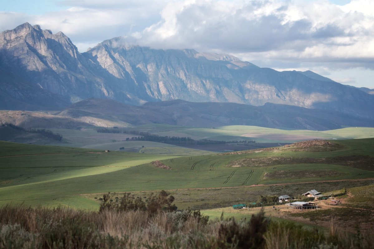 FarmGreyton's tweet photo. A space of peace and compassion. https://t.co/K3PnhALQ12