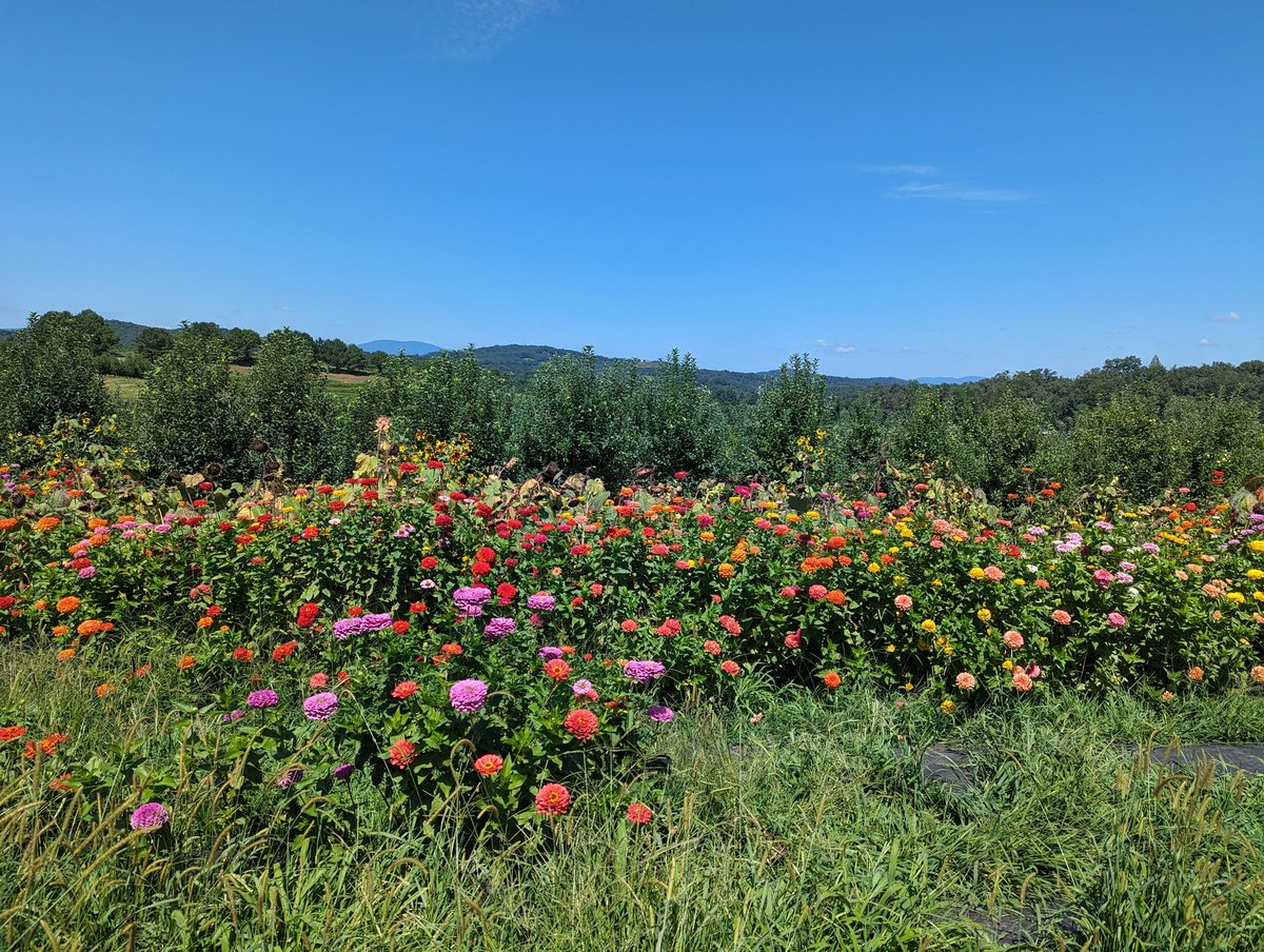 Self-care day! A few of us went apple picking in North Georgia. It was hot. It was sweaty. It was SO worth it 😁.