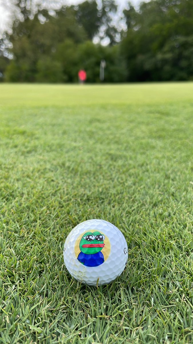 Out here, touching grass⛳️

<a href="/NoblePepes/">Noble Pepes</a> ⚔️🐸