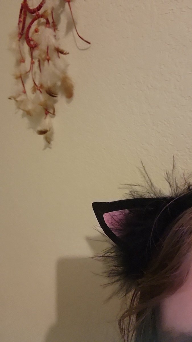 SoupRoselia's tweet photo. Gearing up for Cats Vs Dogs week hosted by @twinleaftv my army of skitties and espurrs will do you proud sir π«‘
#teamcats
#catvsdogs
#shinyhuntingevents https://t.co/UkhADtG5ww