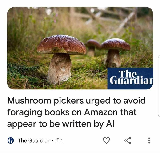[Image: F5Dl7zUWUAAnknL?format=jpg&name=small]