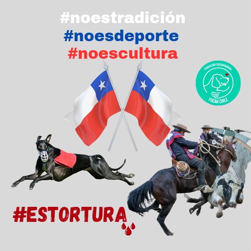 #nomascarrerasdegalgos #nomascarrerasalachilena #nomasrodeo #fucanchile