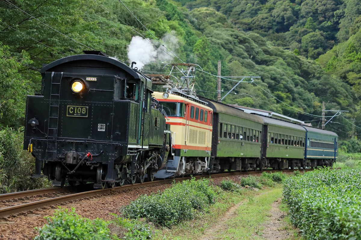 ittoxusu1's tweet photo. 大井川鐵道 急行かわね路号
C10 8＋E32+オハフ33 469＋オハ35 559＋スハフ43 2
逆機を見に大井川鐵道へ行って来ました。なんと補機つきでした。10月までにもう1度行きたいですが時間がありません https://t.co/g1GOUHrW0C