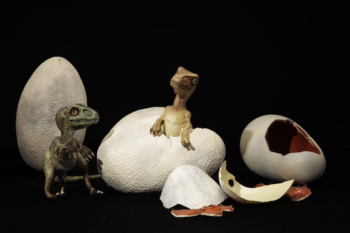 AMHmakes's tweet photo. This was baby’s first proper solo project! It was for history and replication, the hatching baby velociraptor from the original Jurassic Park. I’m still proud of them today!
#JurassicPark #ModleMaking #sculpting https://t.co/bGfDhAyNwO