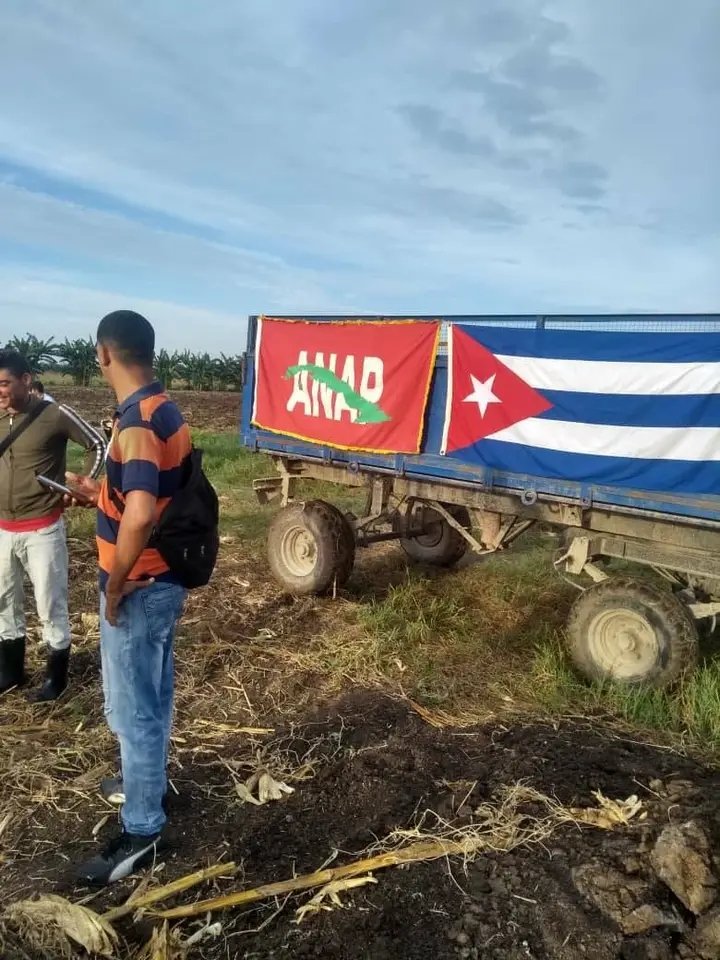 #AnapCacocum despide el #VeranoConAmor desde la CCS Niceto Pérez con el inicio de la campaña de siembra de frío, donde participan las máximas autoridades del territorio, organizaciones de masa y el pueblo.
#AnapHolguín
#CubaViveYTrabaja
#LaJuventudPresente
#Holguín