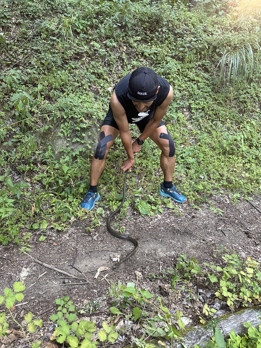 ow2im's tweet photo. コース）Sunday平尾練
距離）14.06km
獲得） 804m
感想）アオダイショウがいた🐍
お漏らししたくらい汗かきまくる💦 https://t.co/nnnyrzdcUn