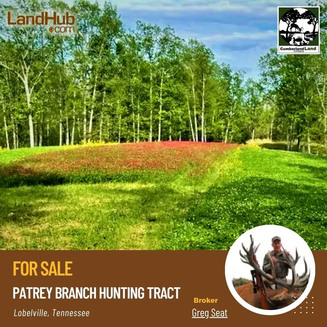 Incredible Deal Alert: Patrey Branch Hunting Land with Cabin, Furnishings, and Equipment - Just $1,075,000! 🔥🔥🔥
#huntingland #Tennesseeproperty #huntingcabin #landforsale 

MORE INFO 👉 bit.ly/45w3kII