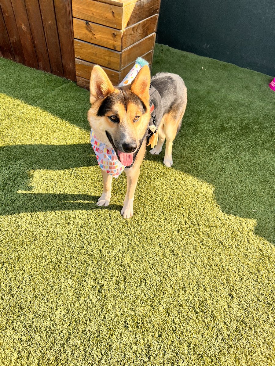 betsy (@betsylulu1209) on Twitter photo 