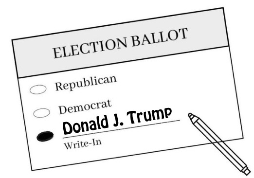 roburs's tweet image. If your favorite name is not pre-printed on the ballot, you can still vote and be happy. 
#election #writein #ballot #trump