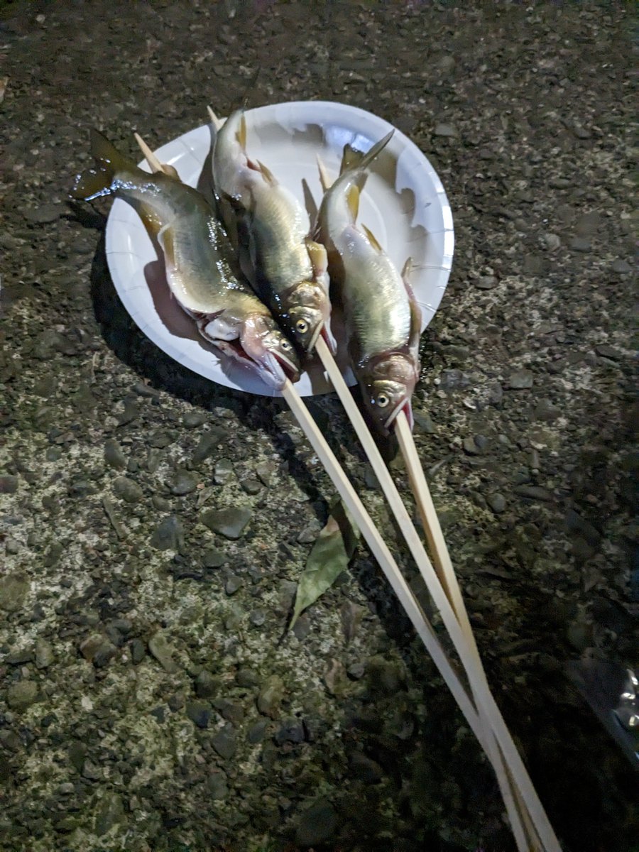 mihakichi2's tweet photo. 川で釣った魚を食った！

明かりは火だけだし、電波は通じないし、寝るときは下が木でカチカチだし、爆走してる鹿には3匹遭遇するし、岩手の山奥はサバイバルすぎた！w https://t.co/RYHlCSFwyH