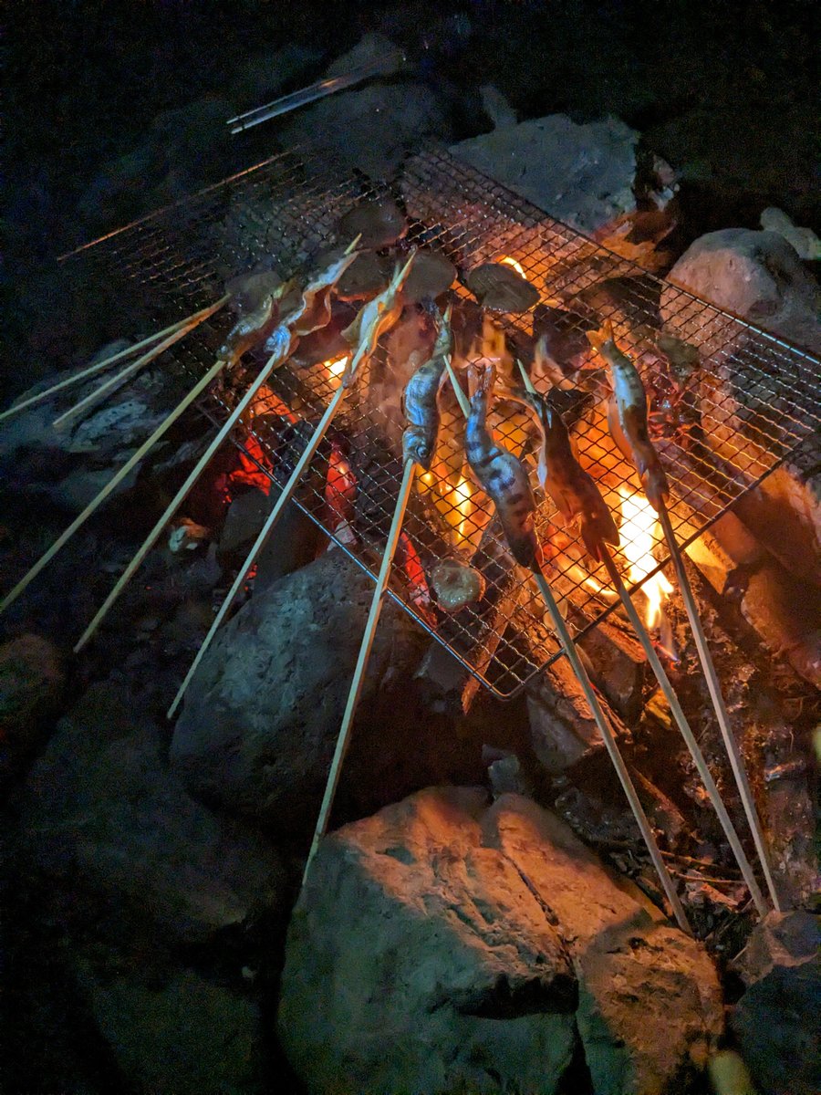 mihakichi2's tweet photo. 川で釣った魚を食った！

明かりは火だけだし、電波は通じないし、寝るときは下が木でカチカチだし、爆走してる鹿には3匹遭遇するし、岩手の山奥はサバイバルすぎた！w https://t.co/RYHlCSFwyH