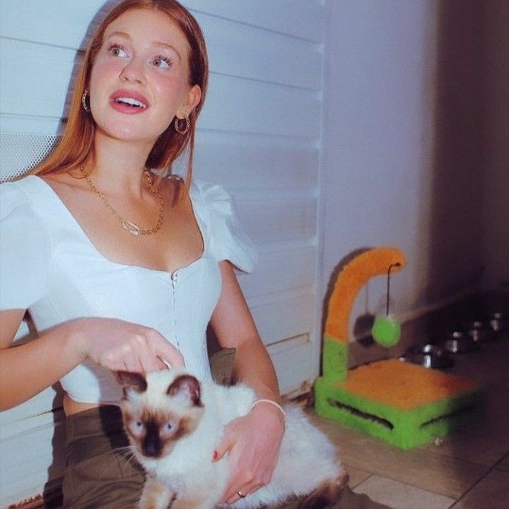 lanzsroximoff's tweet image. pov: você é minha ficante premium confort e essa é sua galeria