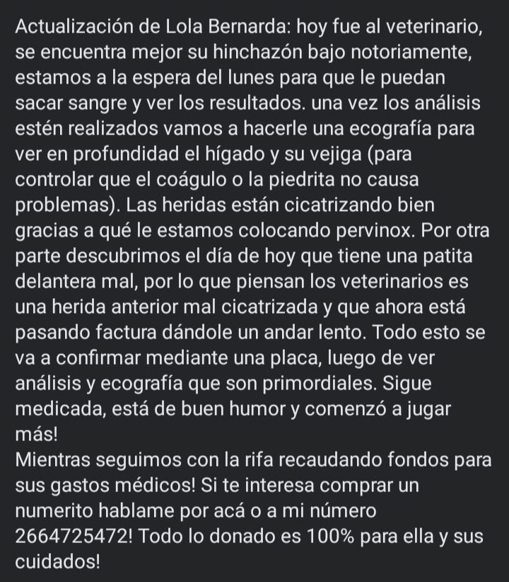 antososa16's tweet photo. https://t.co/DaJ3qOy2U1