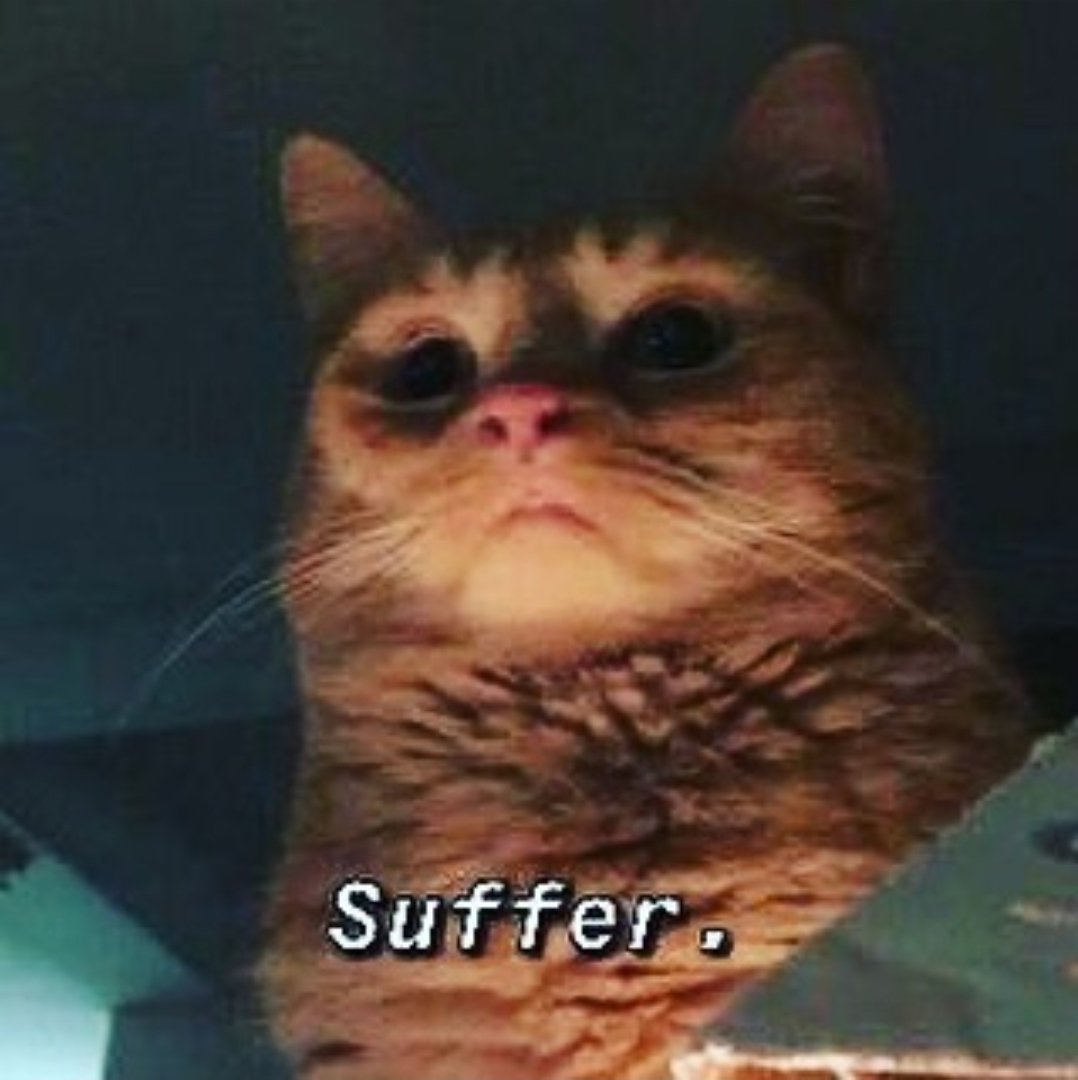 F5DvBGaXcAACbEF.jpg