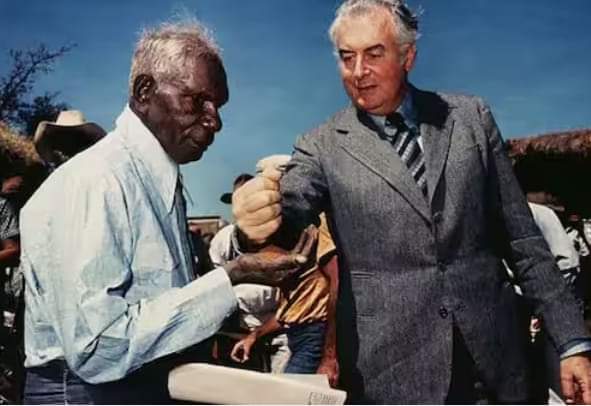 Ross Clelland tweet media