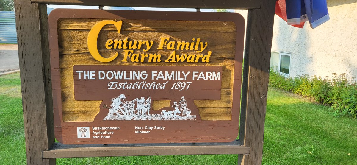 SheldonDowling's tweet photo. Starting swathing canola today on Mom and Dad's home quarter. This quarter has been in our family for 126 years. My Dad has been here for almost 86 of those years. He could hardly wait to get into the swather this afternoon. https://t.co/qhPCodNHs2