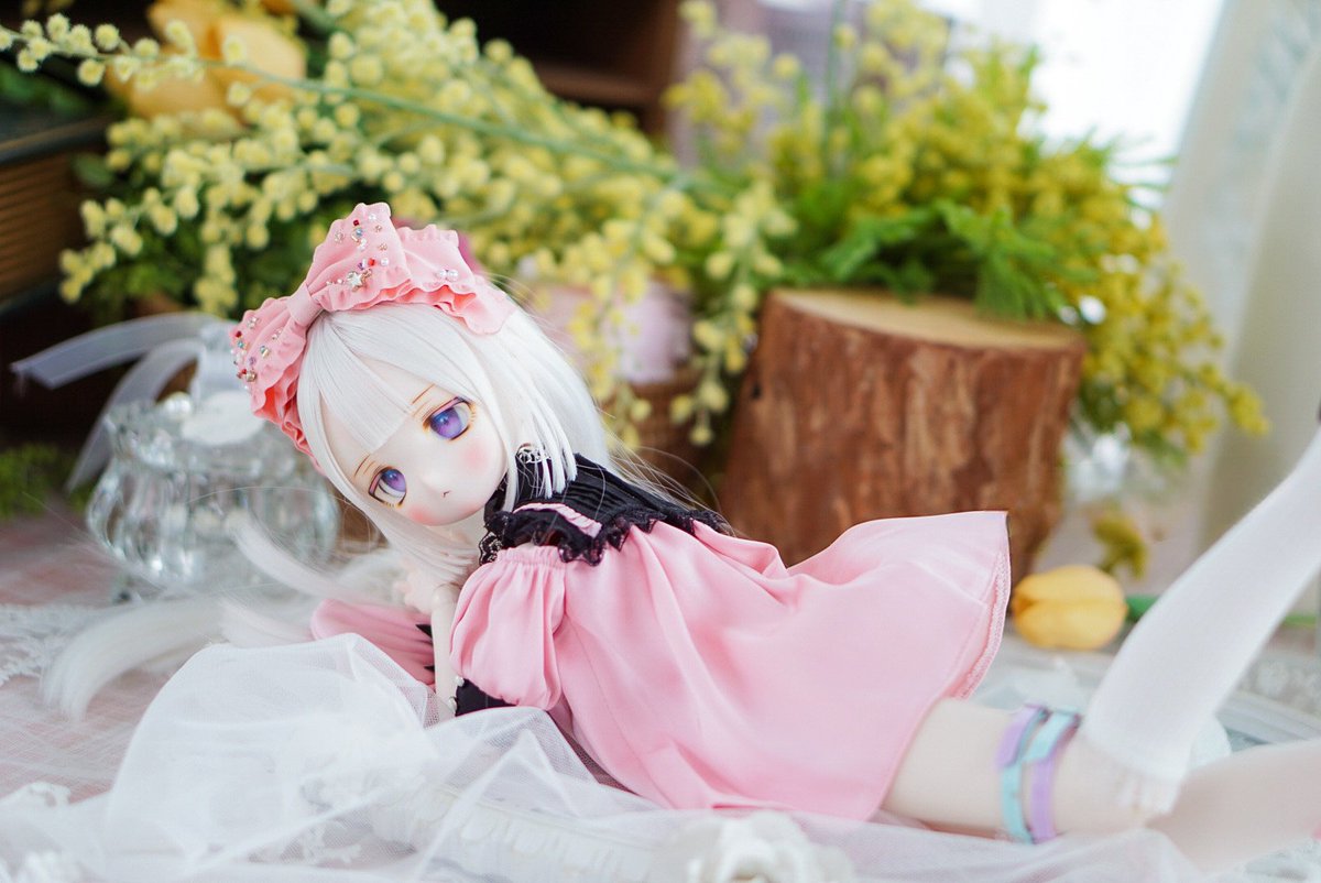 eiri_doll's tweet photo. 쬰아~😄 
#うちのこかわいい #MDDはいいぞ #EIRI_DOLL #Nyacho_crunch https://t.co/dMcDBKk3tl