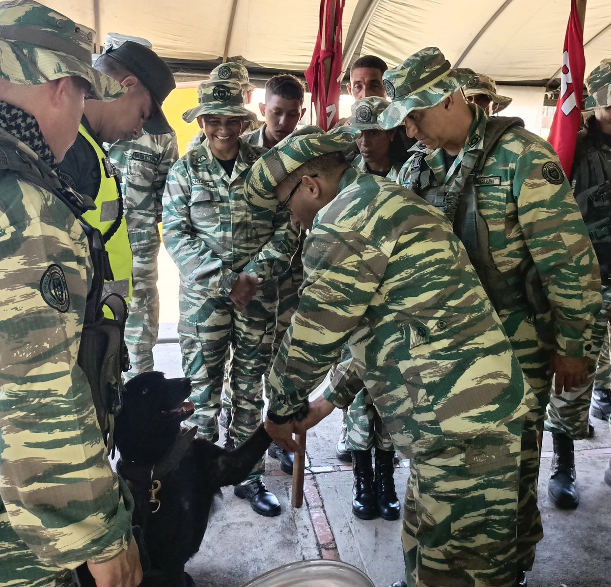 Novena Brigada de Policía Naval tweet media