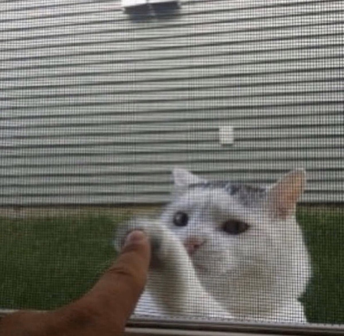 Sub 🦦 tweet media