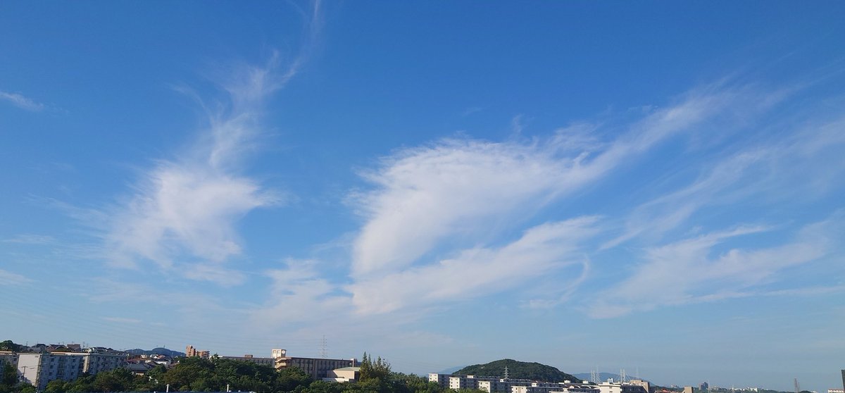 rx787091's tweet photo. おはようございます🌞

今日も朝から暑くなりそうな空ですが、それでも朝晩は少し涼しくなってきた様な気がします🫧

去り行く夏を思いながら今朝はこの曲を😊やっぱり中村さんの声やないと駄目ですね〜😅

皆さんどうぞ良い日曜日を🎵

＃朝ご飯　＃イマソラ
＃J_WALK https://t.co/RVLjLI5aDB