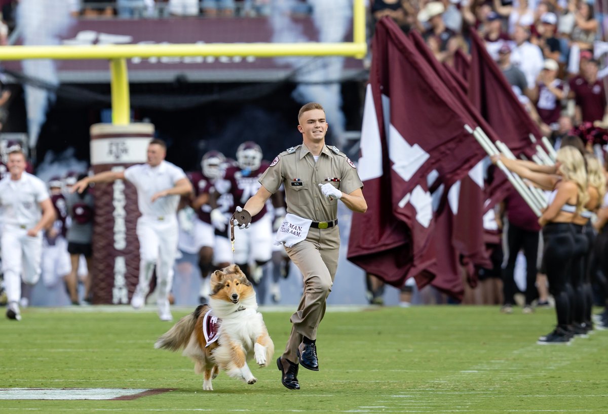 reveille's tweet photo. My first zooooom of the season! 💨💨

It’s so good to be back with all of my Aggies in Kyle Field!! https://t.co/UR1UWpYFwl